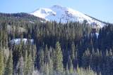 3543 Million Dollar Highway - Photo 17
