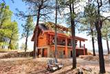 1776 Peninsula Drive - Photo 44