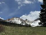 lot 56 Trout Lake Road - Photo 4