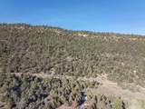 TBD Tract 7 Old Relay Road - Photo 6