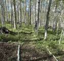 TBD Saddle Horn Lane - Photo 10