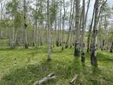TBD Saddle Horn Lane - Photo 5