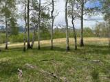 TBD Saddle Horn Lane - Photo 6