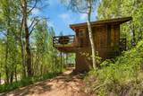 313 Piedmont Street - Photo 11