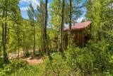 313 Piedmont Street - Photo 12
