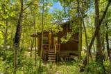 313 Piedmont Street - Photo 7