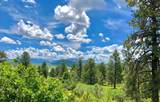 TBD Gurley Lake Drive - Photo 10