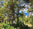 TBD Gurley Lake Drive - Photo 11