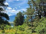 TBD Gurley Lake Drive - Photo 12