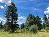 TBD Gurley Lake Drive - Photo 14