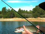 TBD Gurley Lake Drive - Photo 23