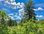 TBD Gurley Lake Drive - Photo 9