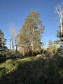 6 Little Lake Ranch Drive. - Photo 31