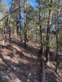 1 58P Road - Photo 12