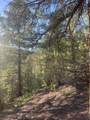 1 58P Road - Photo 14