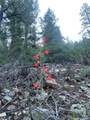 1 58P Road - Photo 18