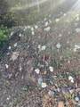 1 58P Road - Photo 20
