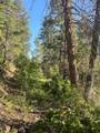 1 58P Road - Photo 21