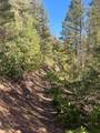 1 58P Road - Photo 22