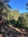 1 58P Road - Photo 23
