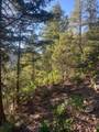 1 58P Road - Photo 24