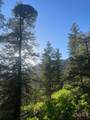 1 58P Road - Photo 28