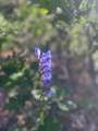 1 58P Road - Photo 31