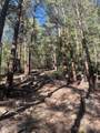 1 58P Road - Photo 8