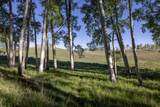 TBD East Wilson Mesa 60M - Photo 32