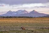 TBD 59Z Road - Photo 6