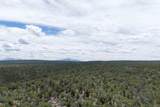 uassigned Juniper Drive (42.2Y) - Photo 3