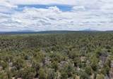 uassigned Juniper Drive (42.2Y) - Photo 8