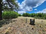 TBD Canyon Rim Loop - Photo 24
