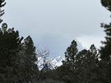 TBD S Badger Trail - Photo 2