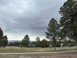 TBD S Badger Trail - Photo 4