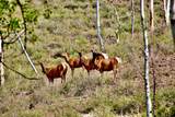 TBD Cristinas Way - Photo 21