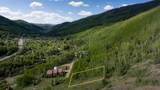 333 Piedmont Street - Photo 2