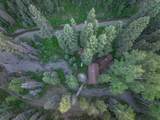 99 Forest Lane - Photo 16