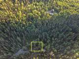99 Forest Lane - Photo 17