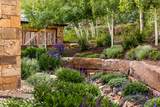 105 Pandora Lane - Photo 89