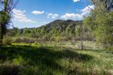 TBD Hwy 145 - Photo 10