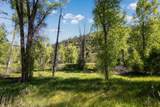 TBD Hwy 145 - Photo 5