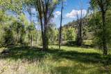 TBD Hwy 145 - Photo 6
