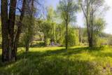 TBD Hwy 145 - Photo 7