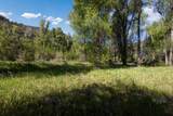 TBD Hwy 145 - Photo 8