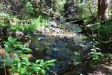 81 Wagoneer Road - Photo 9
