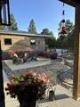 19 Marten Court - Photo 17