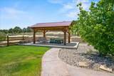 344 Jumping Tree Trail - Photo 26