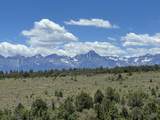 344 Jumping Tree Trail - Photo 46