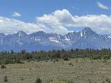 344 Jumping Tree Trail - Photo 47